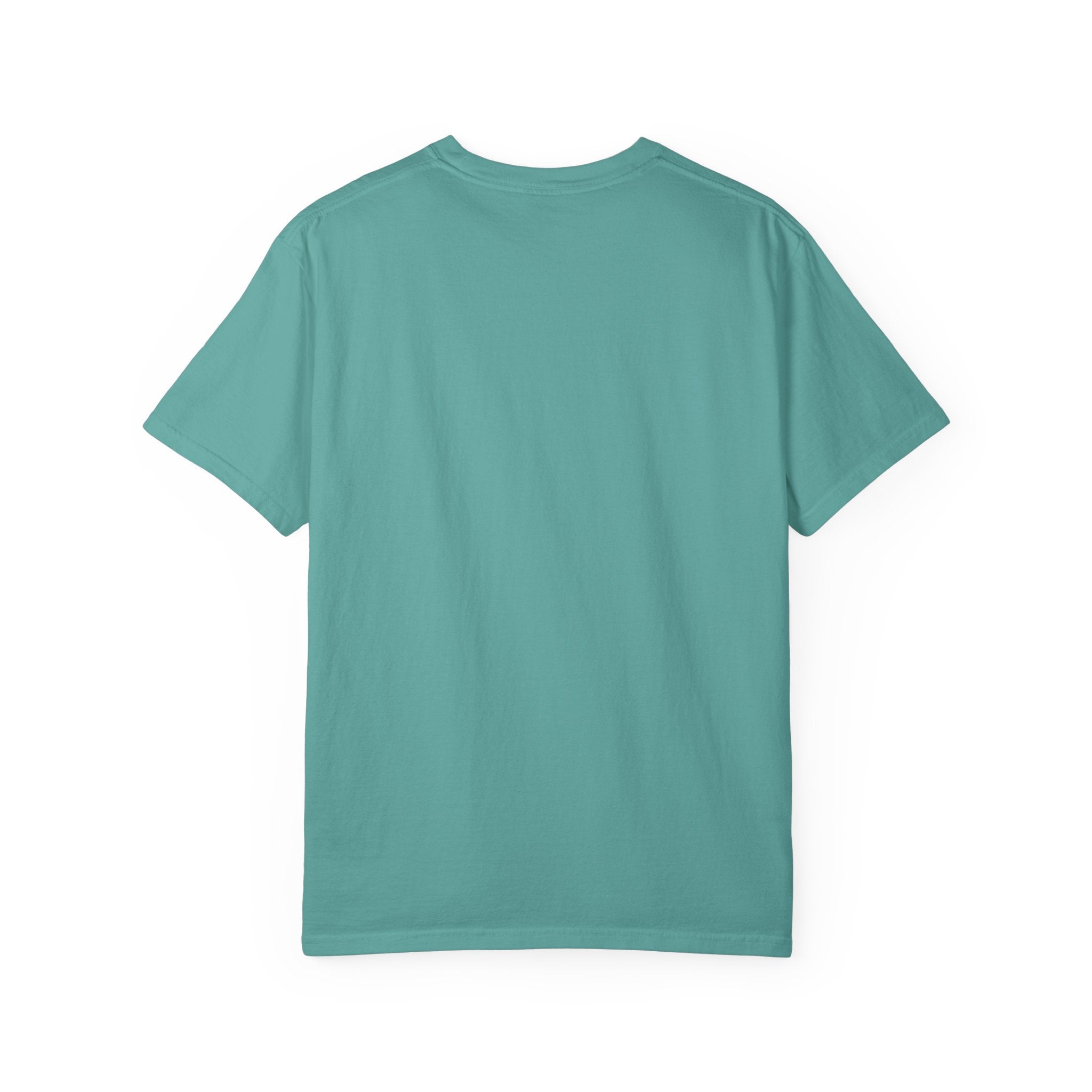 Pickleball Plans T-Shirt — "Sorry I Can’t, I Have Pickleball Plans" Graphic Tee