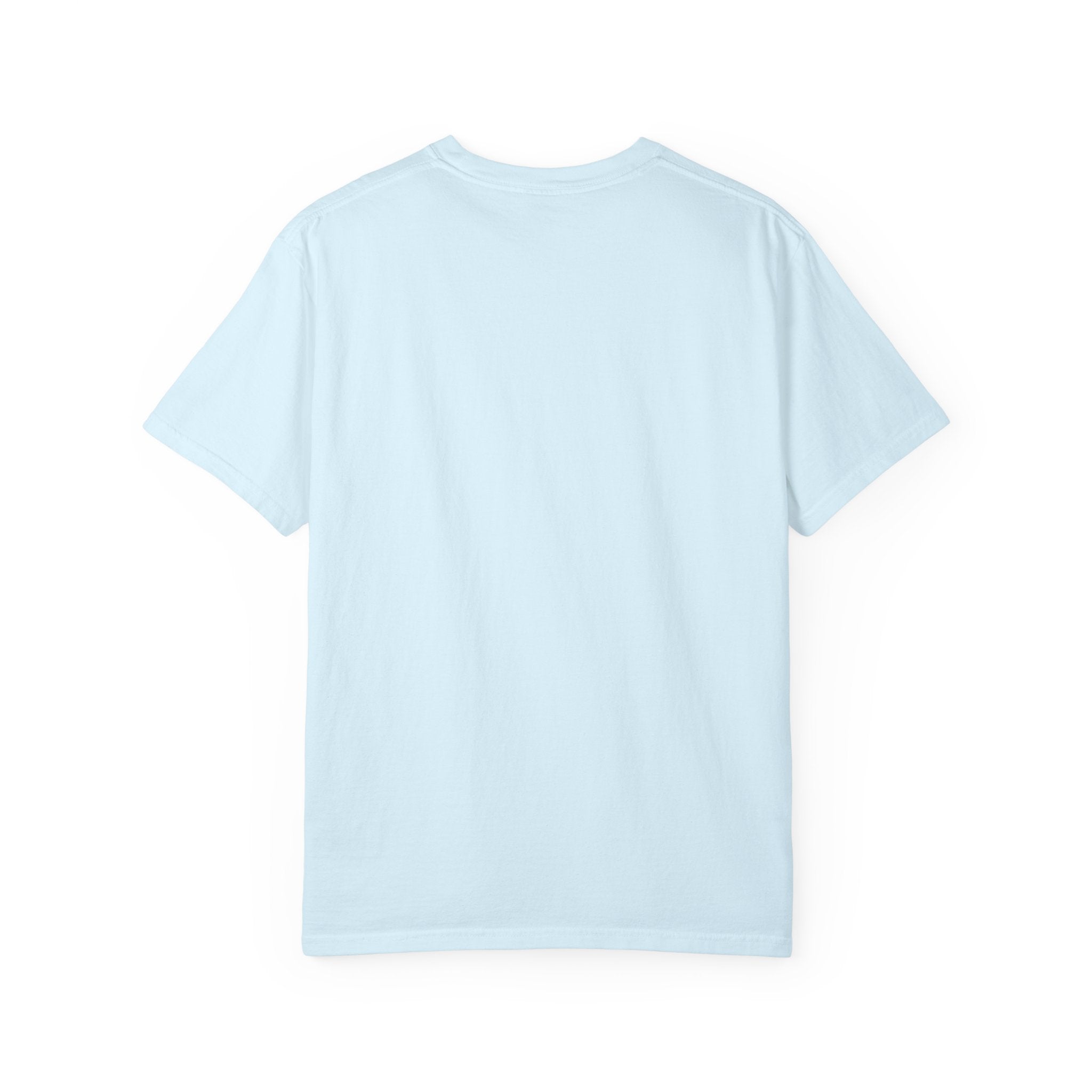 Pickleball Plans T-Shirt — "Sorry I Can’t, I Have Pickleball Plans" Graphic Tee